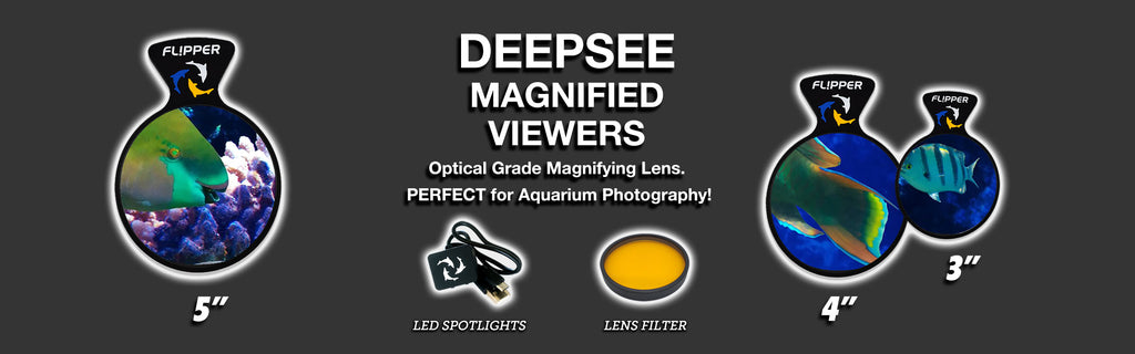 Flipper DeepSee Viewers Header Image