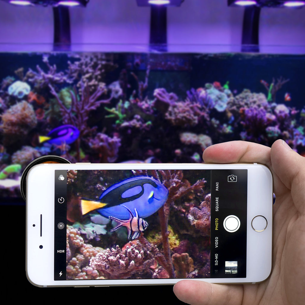 Flip-Kick Phone Filter for Aquarium Photography for iPhone, Samsung, Google Pixel
