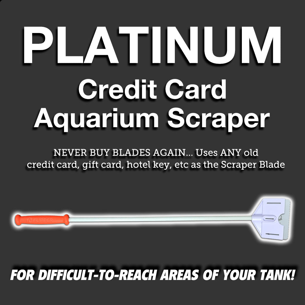 Flipper Platinum Cleaners